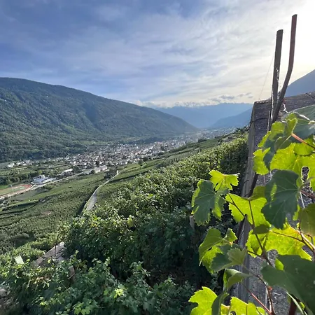 Sanmartino Tirano